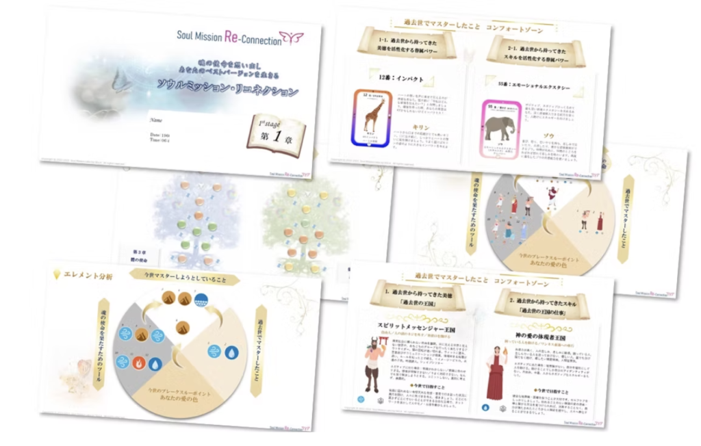 遺伝子占星術 ソウルミッションリコネクション®︎(SMR) 鑑定書 レポート