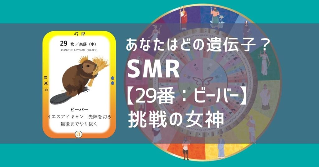 女性性開花のためのスピリチュアルな遺伝子占星術、ソウルミッションリコネクション®︎(SMR)眷属、２９番、ビーバー