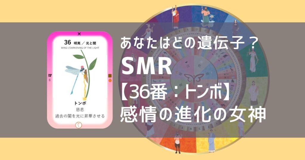 女性性開花のためのスピリチュアルな遺伝子占星術、ソウルミッションリコネクション®︎(SMR)眷属、３６番、トンボ、蜻蛉、とんぼ