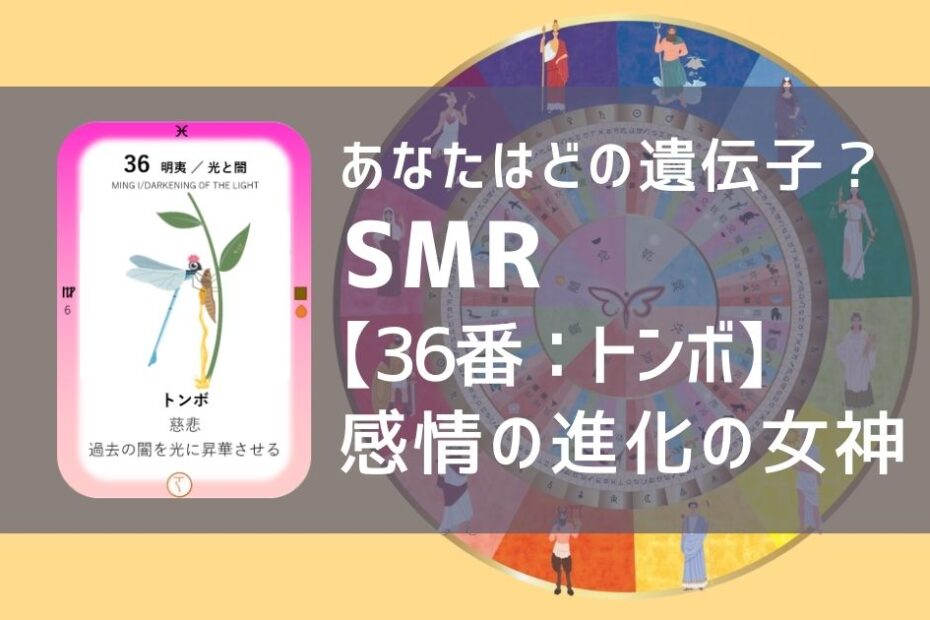 女性性開花のためのスピリチュアルな遺伝子占星術、ソウルミッションリコネクション®︎(SMR)眷属、３６番、トンボ、蜻蛉、とんぼ