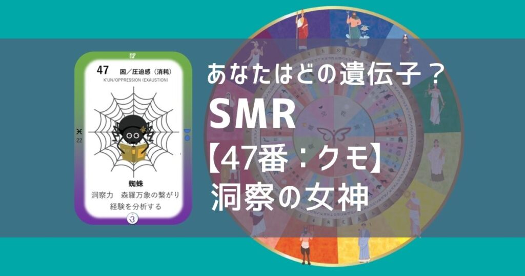 女性性開花のためのスピリチュアルな遺伝子占星術、ソウルミッションリコネクション®︎(SMR)眷属、４７番、蜘蛛、くも、クモ