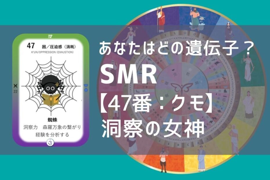 女性性開花のためのスピリチュアルな遺伝子占星術、ソウルミッションリコネクション®︎(SMR)眷属、４７番、蜘蛛、くも、クモ