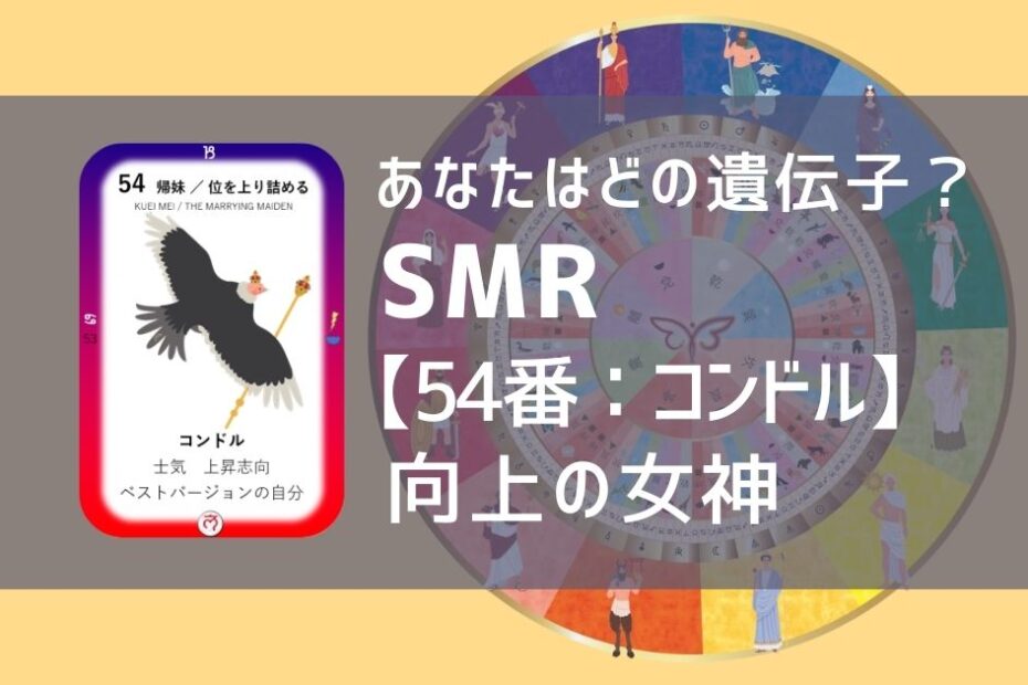女性性開花のためのスピリチュアルな遺伝子占星術、ソウルミッションリコネクション®︎(SMR)眷属、５４番、コンドル