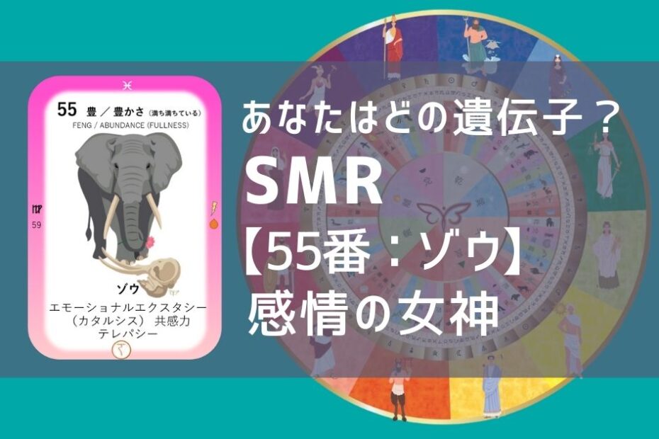 女性性開花のためのスピリチュアルな遺伝子占星術、ソウルミッションリコネクション®︎(SMR)眷属、５５番、ぞう、ゾウ、象