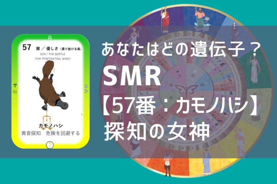 女性性開花のためのスピリチュアルな遺伝子占星術、ソウルミッションリコネクション®︎(SMR)眷属、５７番、鴨嘴、カモノハシ、かものはし